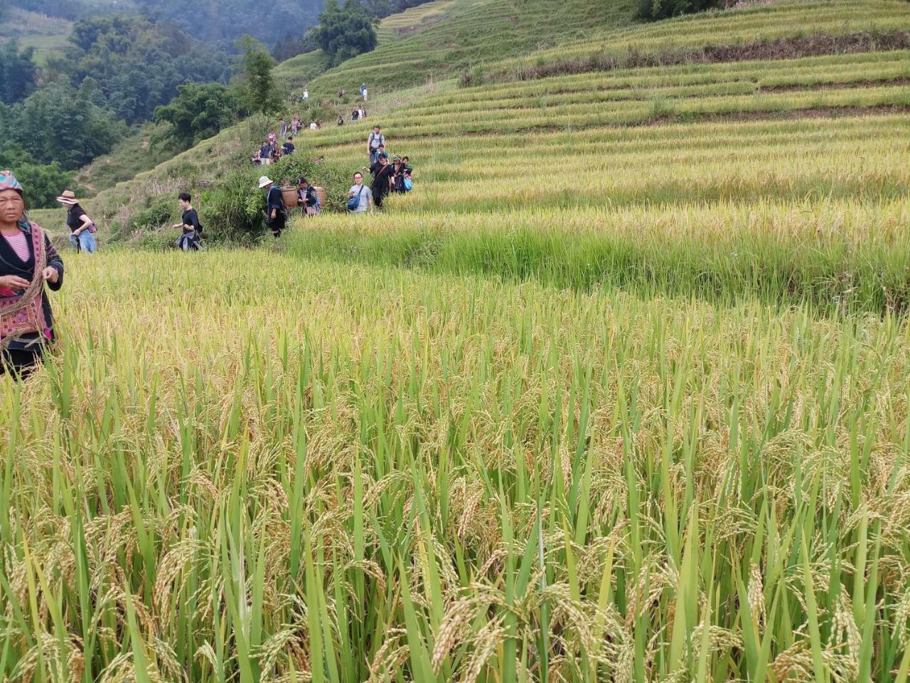 Tuongmai Home & Trekking Tour 萨帕 外观 照片
